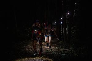 BIB: 
                            <button type="button" onclick="openModal(19209038)" class="btn btn-primary btn-sm float-right btn-popup" data-toggle="modal" data-target=".modal-high-quality">
                        <i class="fas fa-shopping-cart"></i> Add to Cart
                    </button>
                                            <button type="button" onclick="isThisMe(19209038, true)" class="btn btn-success btn-sm float-right btn-popup btn-isme hidden" data-toggle="tooltip" data-placement="bottom" title="นี่คือรูปของคุณใช่ไหม คลิกที่นี่เพื่อเอาเข้าอัลบั้ม">
                        <i class="fas fa-plus"></i> Add to album
                    </button>
                    <button type="button" onclick="isThisMe(19209038, false)" class="btn btn-warning btn-sm float-right btn-popup btn-isnotme hidden">
                        <i class="fas fa-ban"></i> Remove from album
                    </button>